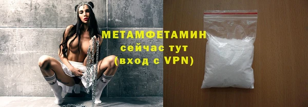 прущие грибы Горнозаводск