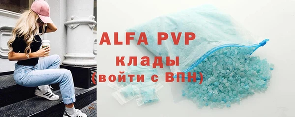 прущие грибы Горнозаводск