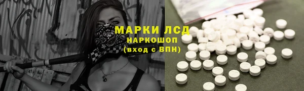 прущие грибы Горнозаводск