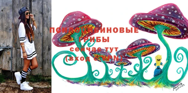 прущие грибы Горнозаводск