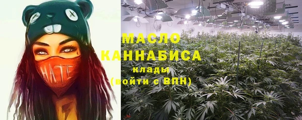 прущие грибы Горнозаводск