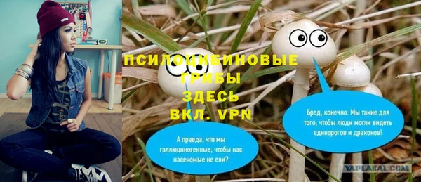 героин Горняк