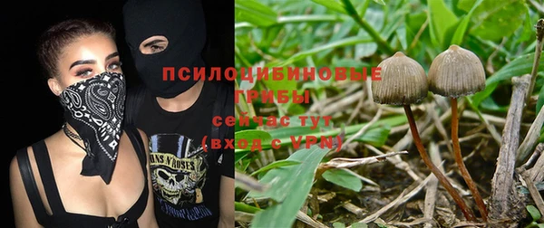 героин Горняк