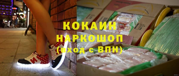 прущие грибы Горнозаводск