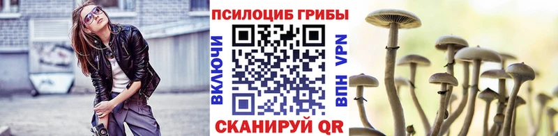 Псилоцибиновые грибы GOLDEN TEACHER  Купить где  Белинский 